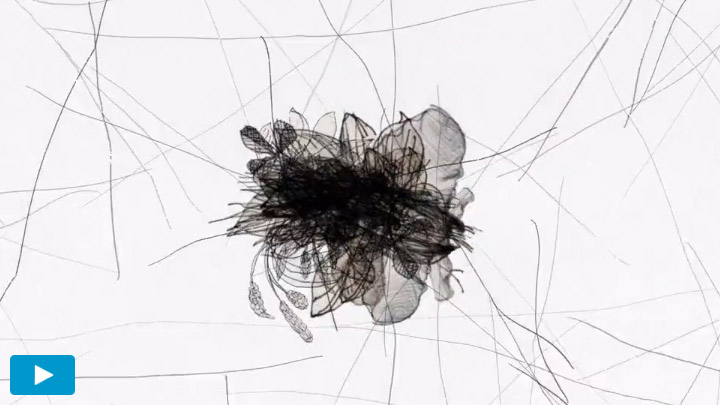 Voir le dessin animé abstrait : Dandelion films pour enfants