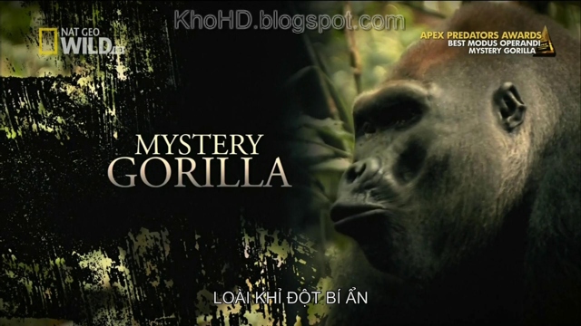 Mystery+Gorilla+(2009)+1080i+HDTV_KhoHD+(Viet)%5B10-53-10%5D(1).JPG