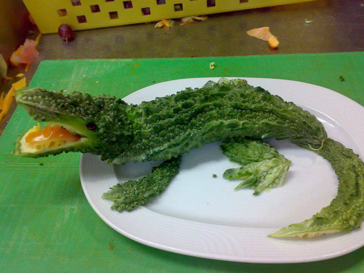 Crocodile Dog Food Crocodile Dog Food
