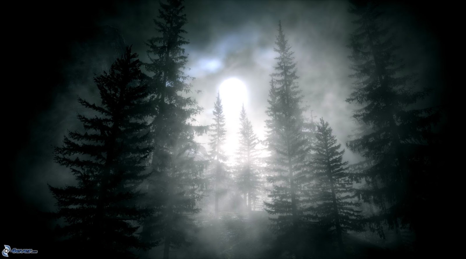 Dark Forest Full Moon Dark Forest Full Moon