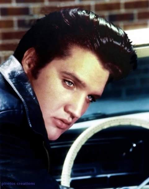 Para identificar Elvis Presley :: (38 anos sem ELVIS) ~ Identidade 85 ::