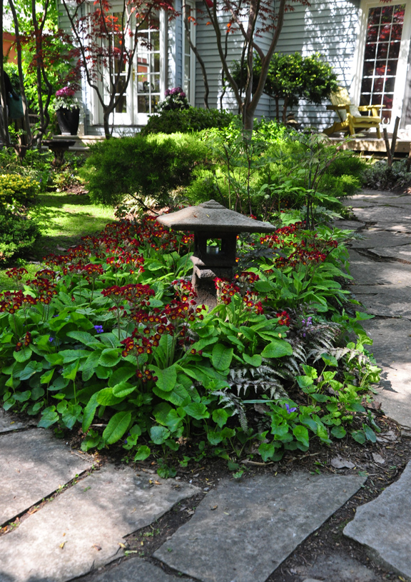 Garden Photo Of The Day 12 01 2011 01 01 2012