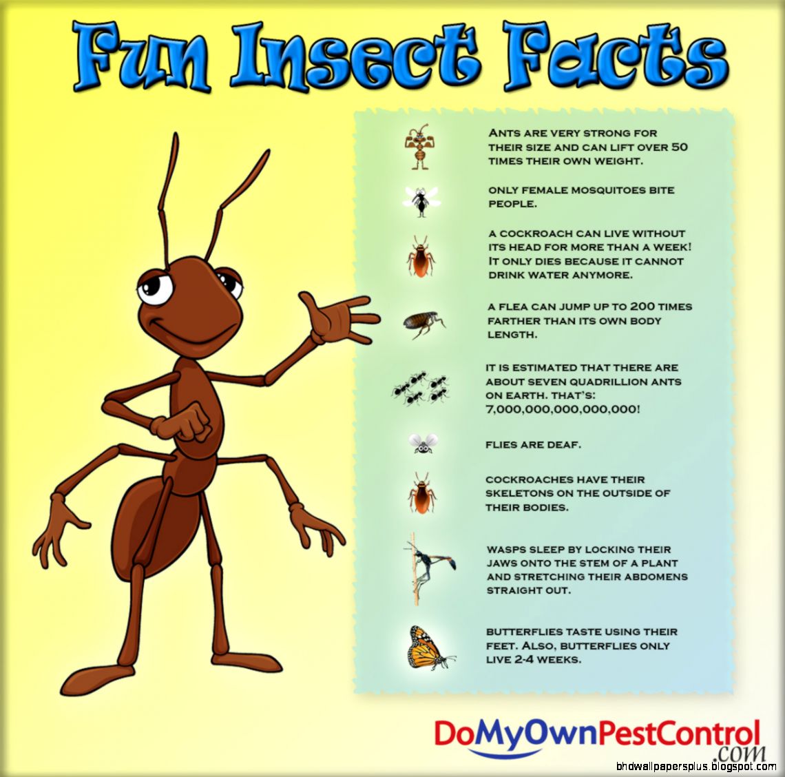 Facts On Animals For Kids