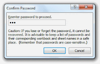 Password Excel