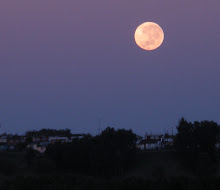 The moon is spectacular! Oh, I love Chile!!!