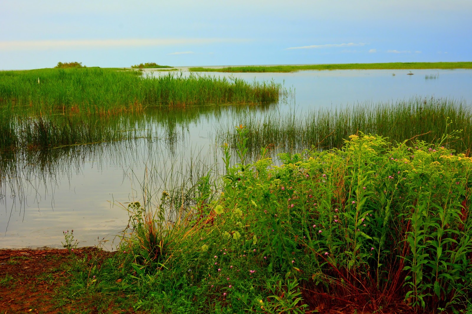 PL Fallin Photography Coastal Wetlands of Lake Huron