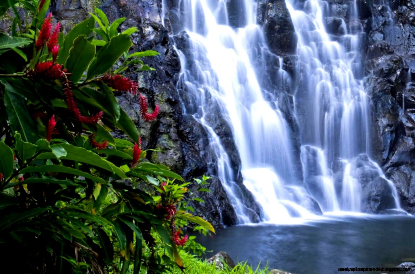 free moving wallpaper downloadshd wallpaperdownload free wallpaper free moving wallpaper downloadshd wallpaperdownload free wallpaper
