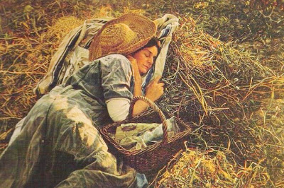 Isabel Guerra Pintora