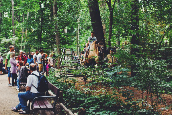 Ein Zoobesuch In Bildern So War Unser Gestriger Tag 12von12 Im