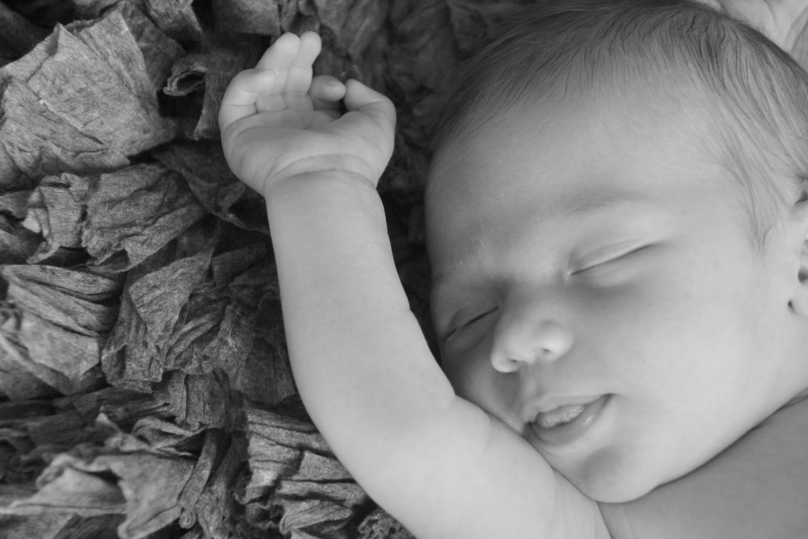 Willow Photography