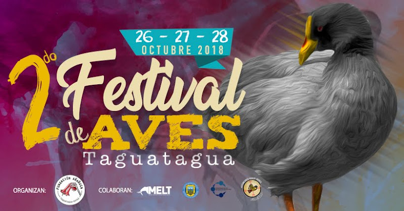 Festival de Aves de Taguatagua