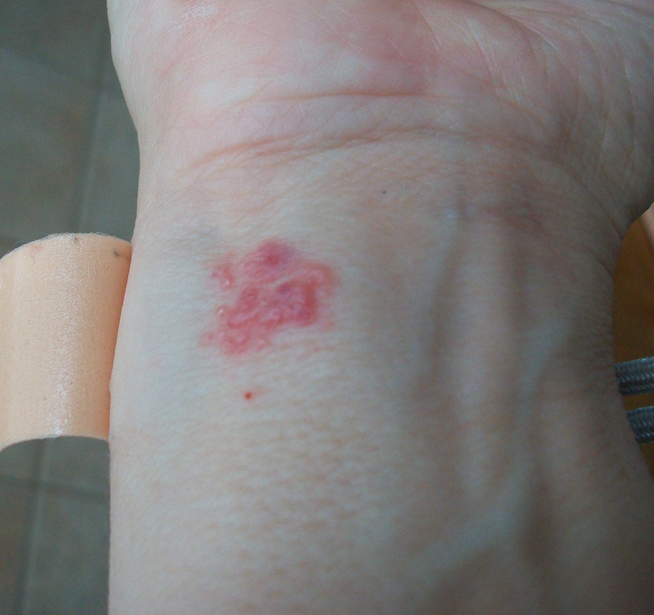 ADVENTURES IN THE BALLPARK What You Need to Know About MANGOES