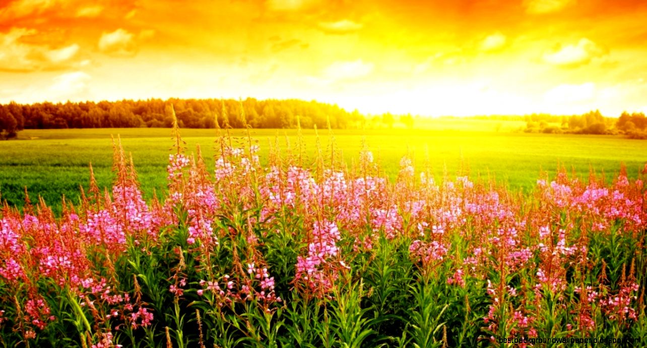 Sunrise Wallpaper For Desktop Computer Autumn by Free download Sunrise Wallpaper For Desktop Computer Autumn by Free download