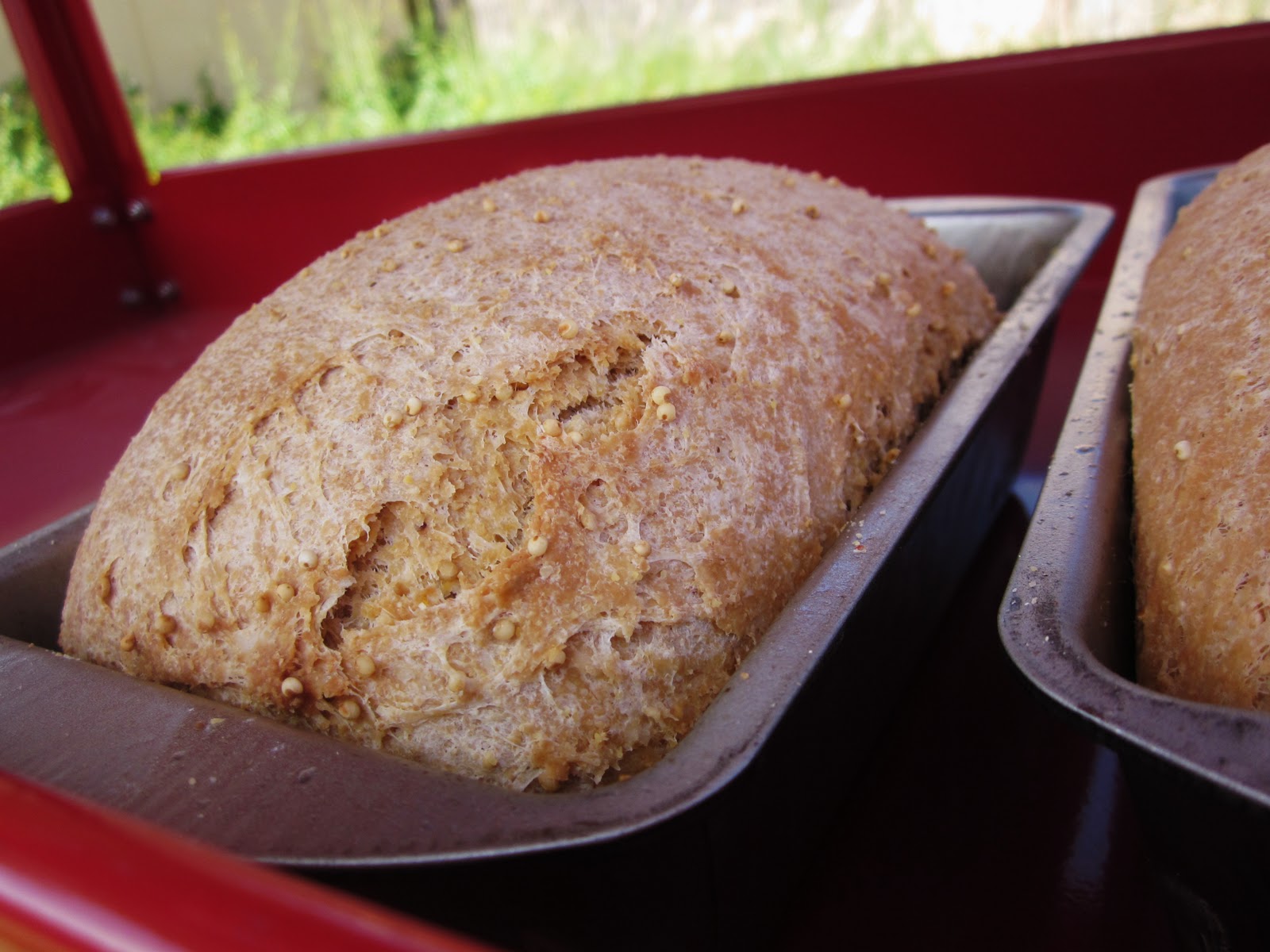 Chef Tess Bakeresse Whole Grain Millet Bread