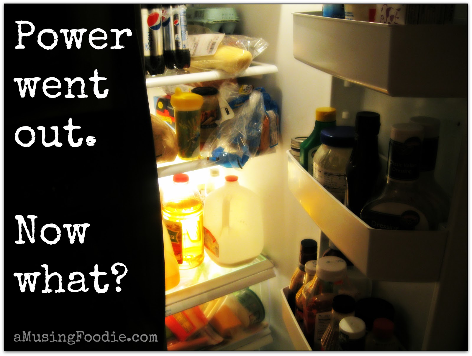 Power's Out 5 Tips for a Safe Fridge & Freezer (a)Musing Foodie