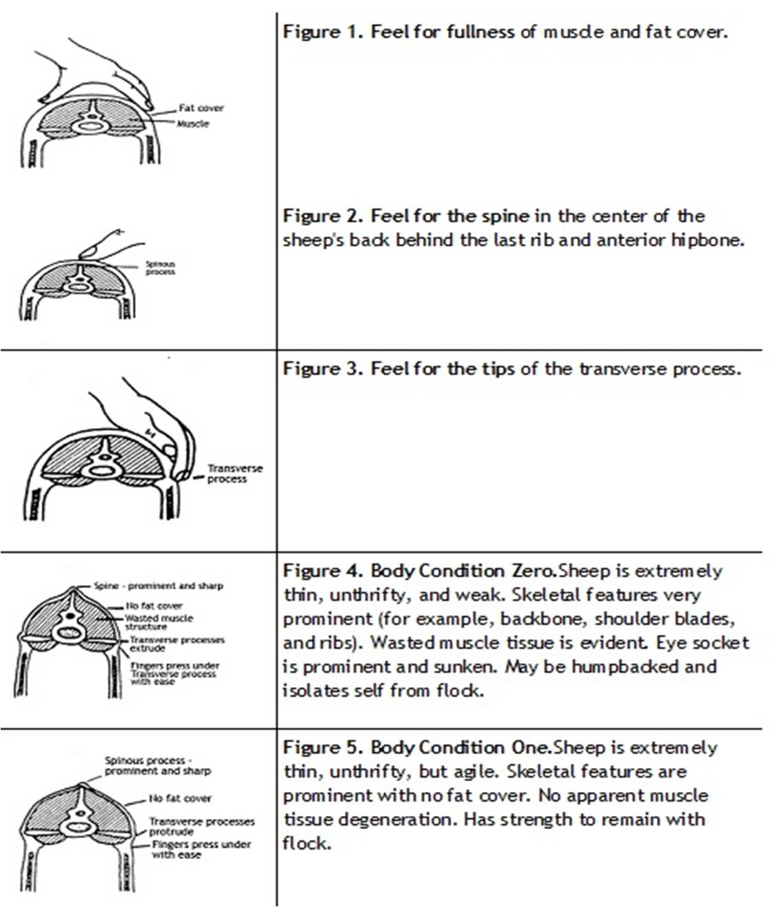 👍 Common vices of college students. The 4 Habits College Students