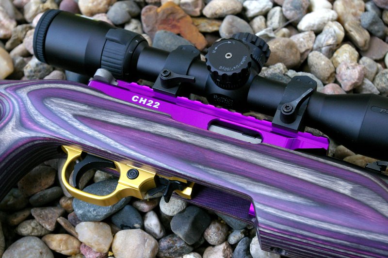 Boyd 10/22 SS Evolution TactiCool Stock Review