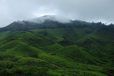 Implikasi Kegiatan Ekonomi Terhadap Alam Sekitar Kegiatan Ekonomi Dan Pencemaran