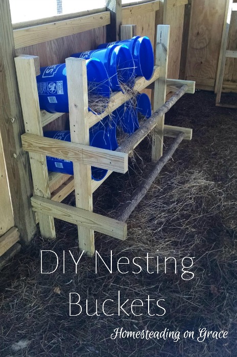how to train chickens to lay in a nesting box