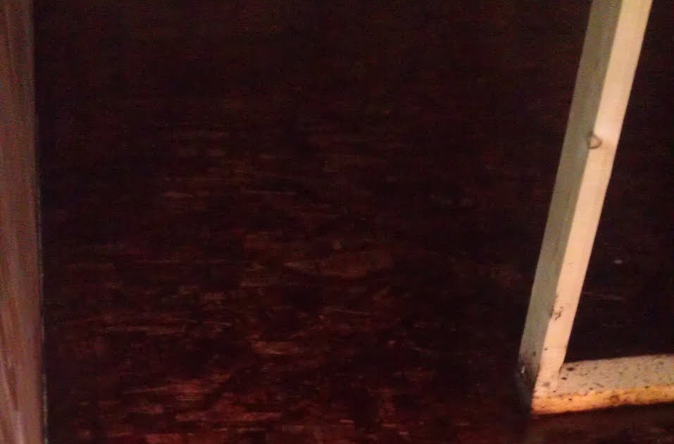 The Commodore's Renovations Second coat of varnish on my OSB floor.