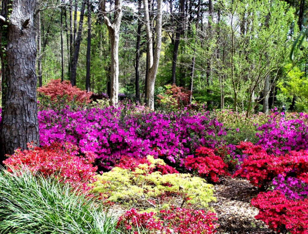 SPRINGTIME BABY Ross Mandell39s Blog SPRINGTIME BABY Ross Mandell39s Blog