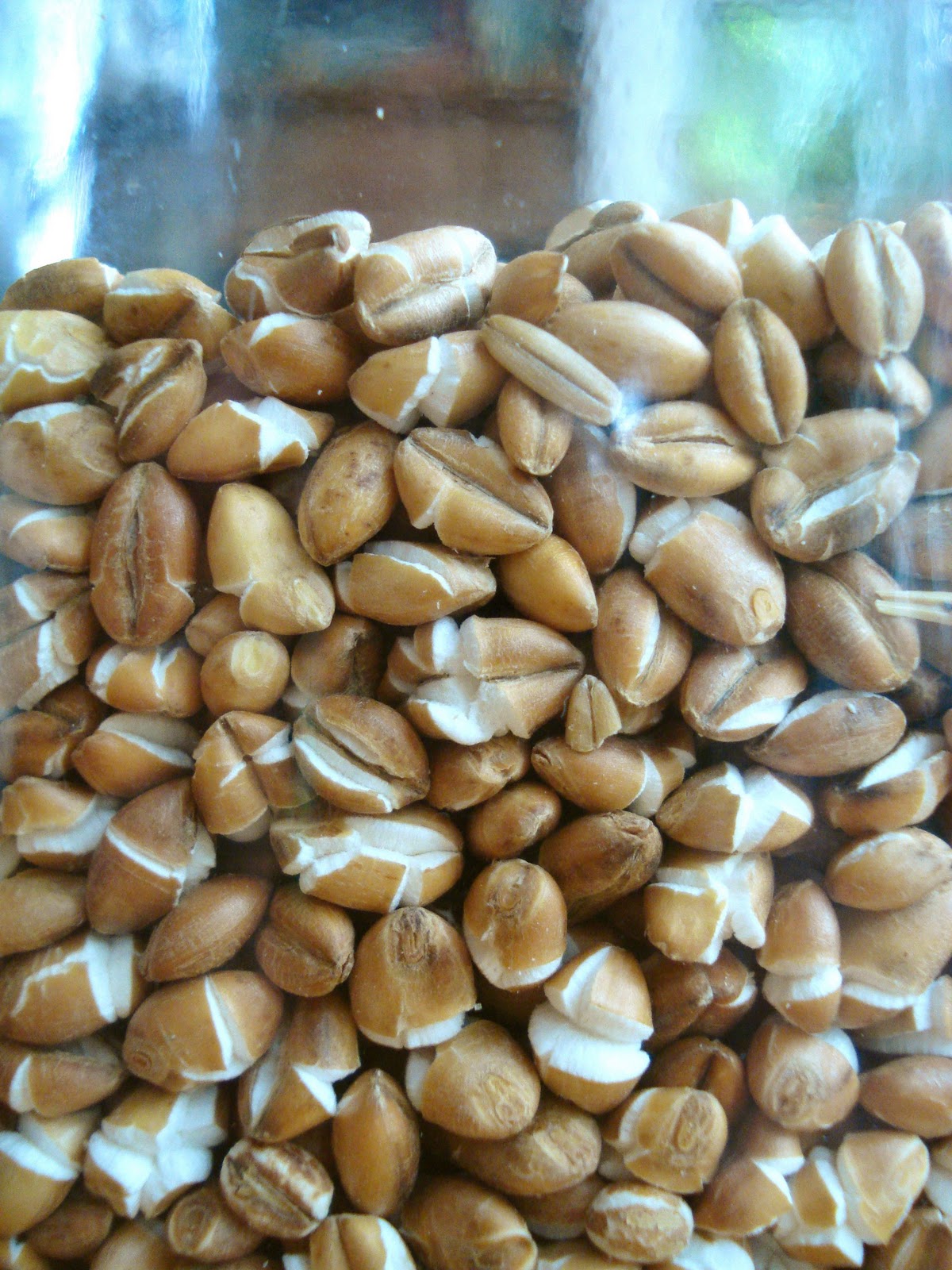 Locavore Challenge 2011 Popped Barley for Breakfast