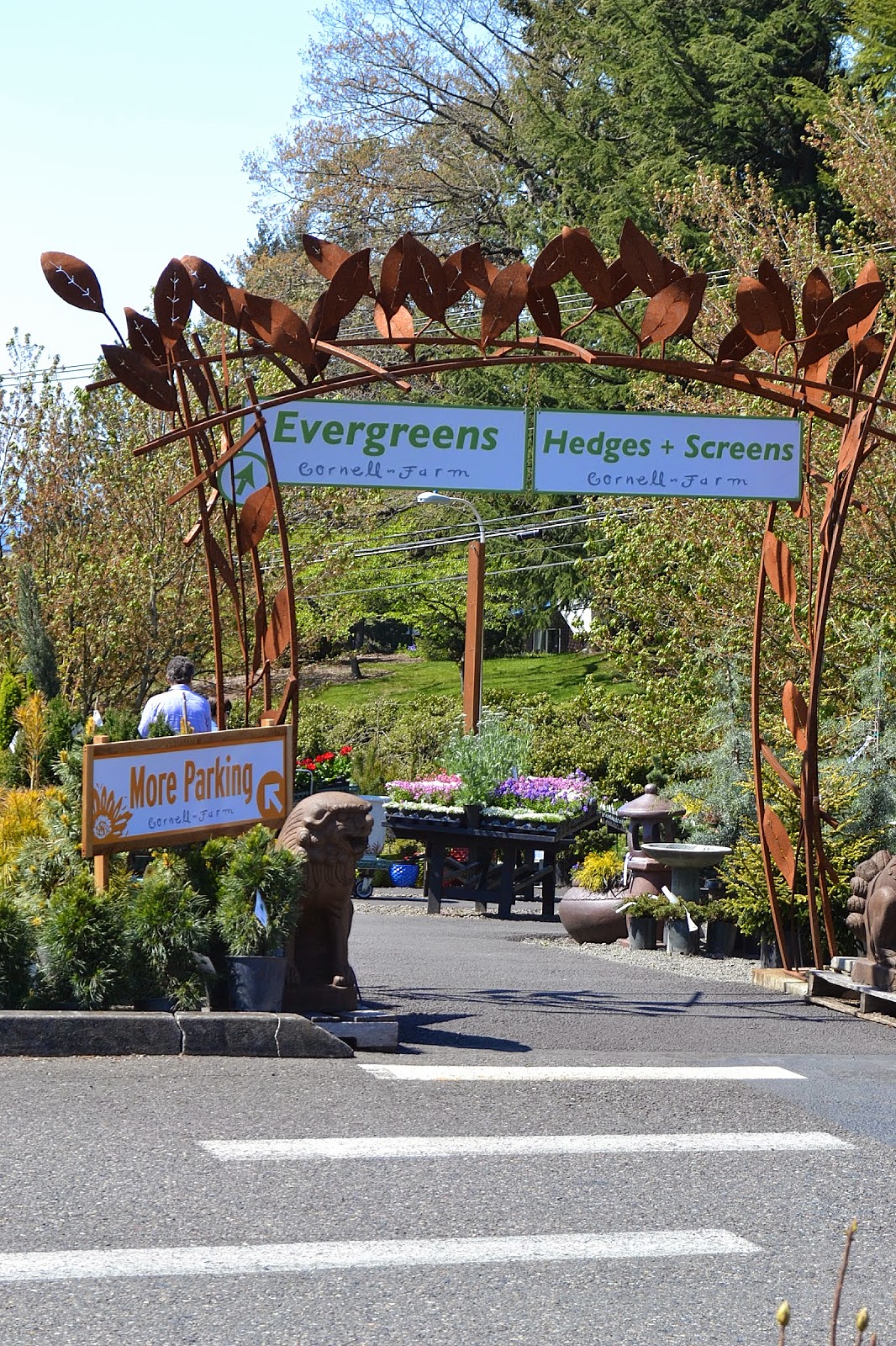 The Outlaw Gardener Visiting Cornell Farm Nursery in Portland