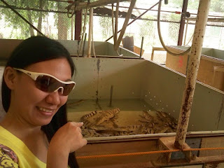 Wildlife Rescue and Conservation Center Puerto Princesa City Palawan Philippines