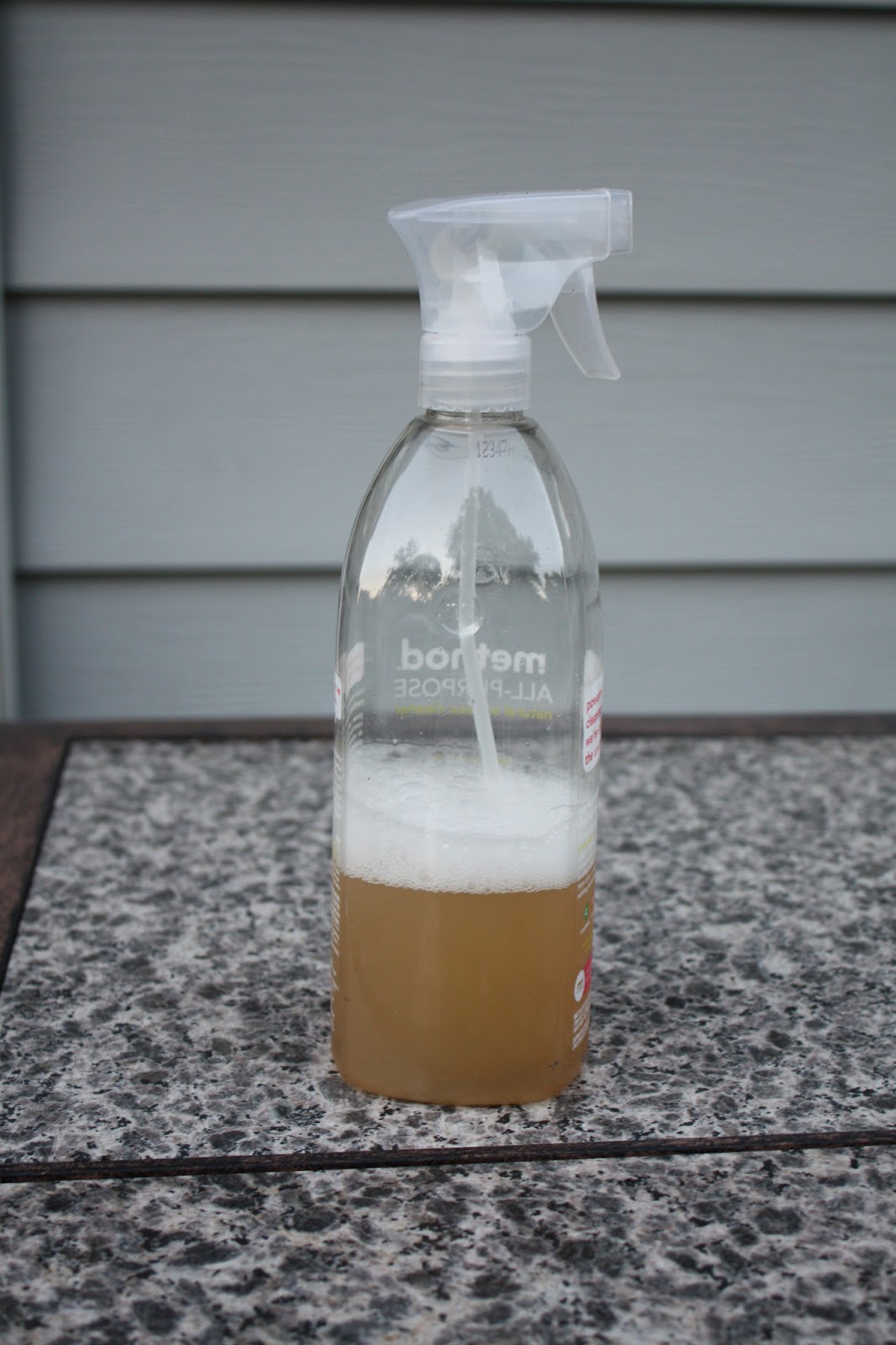 A Little Time and a Keyboard Homemade earwig spray {easy}