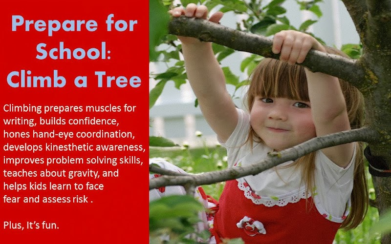 Learning for Life Every Time I Climb a Tree.