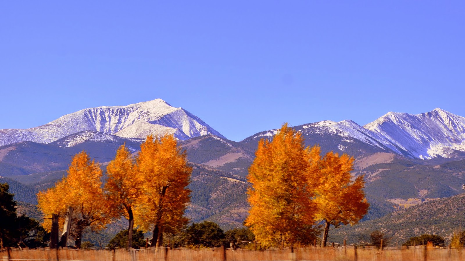 Mille Fiori Favoriti: Happy Thanksgiving from Colorado!