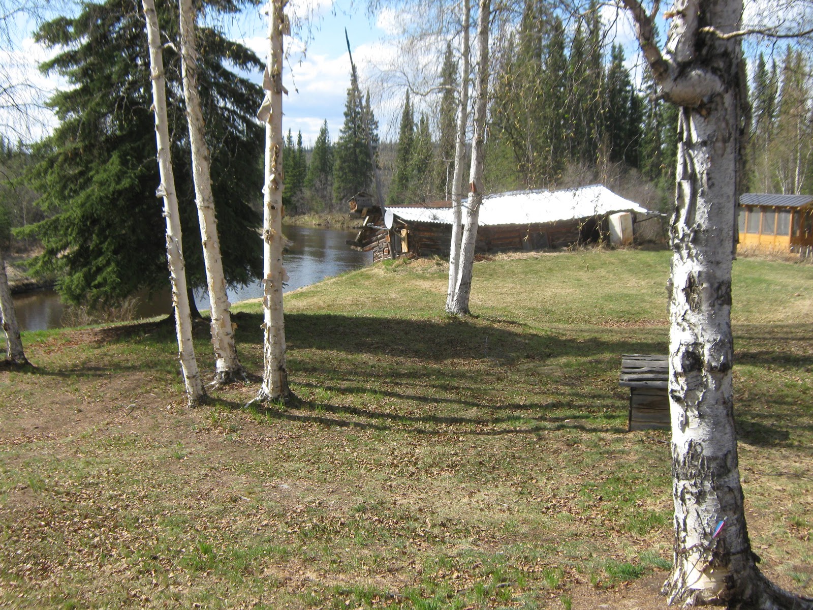 Chef Gurl's Central Alaska Adventure Crooked Creek