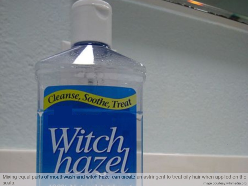 Beautysalon 10 Home Remedies For Oily Hair
