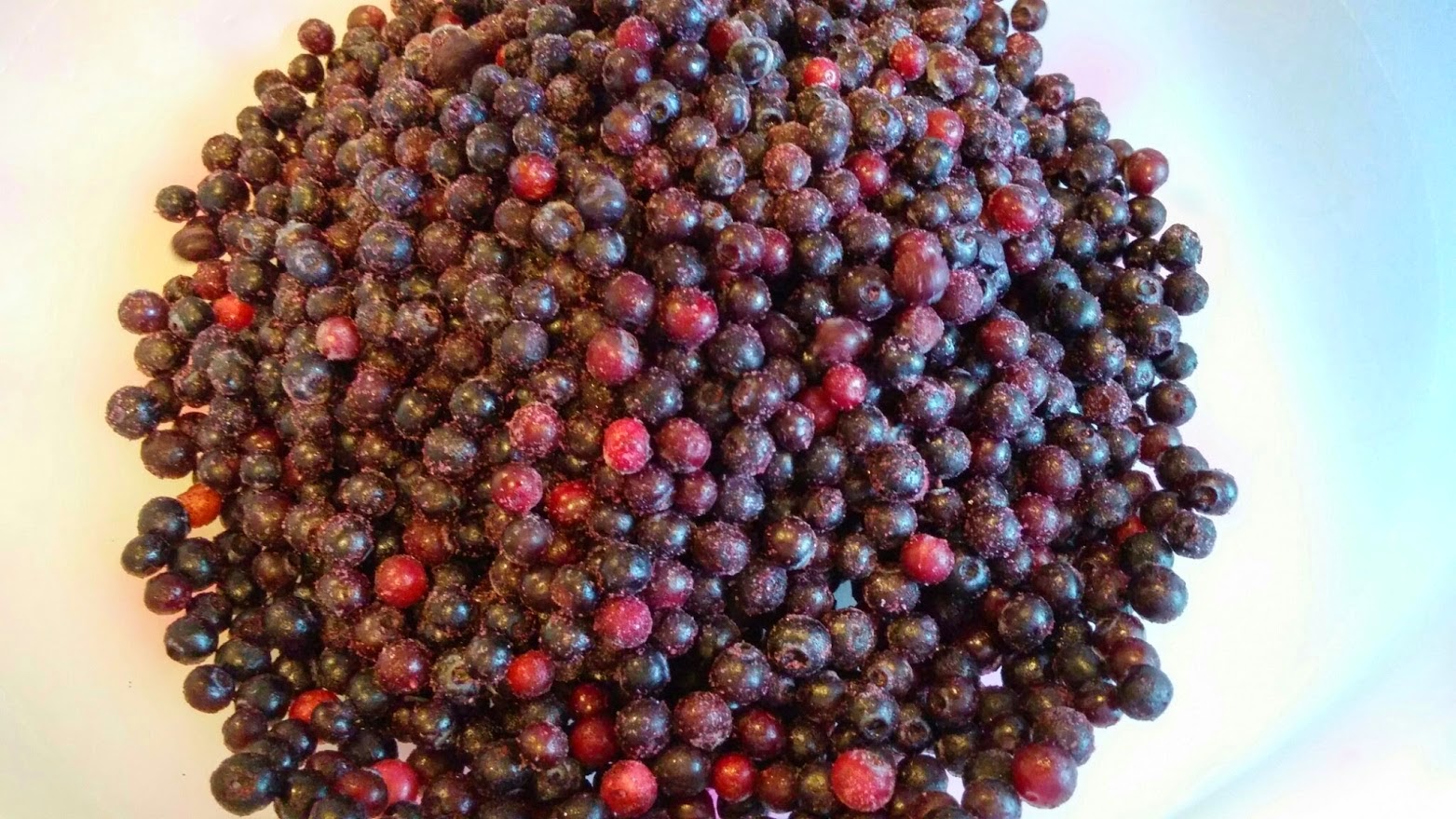 Amazing Wild Blueberries and Highland Jam I Paleo Vegeo Recipe