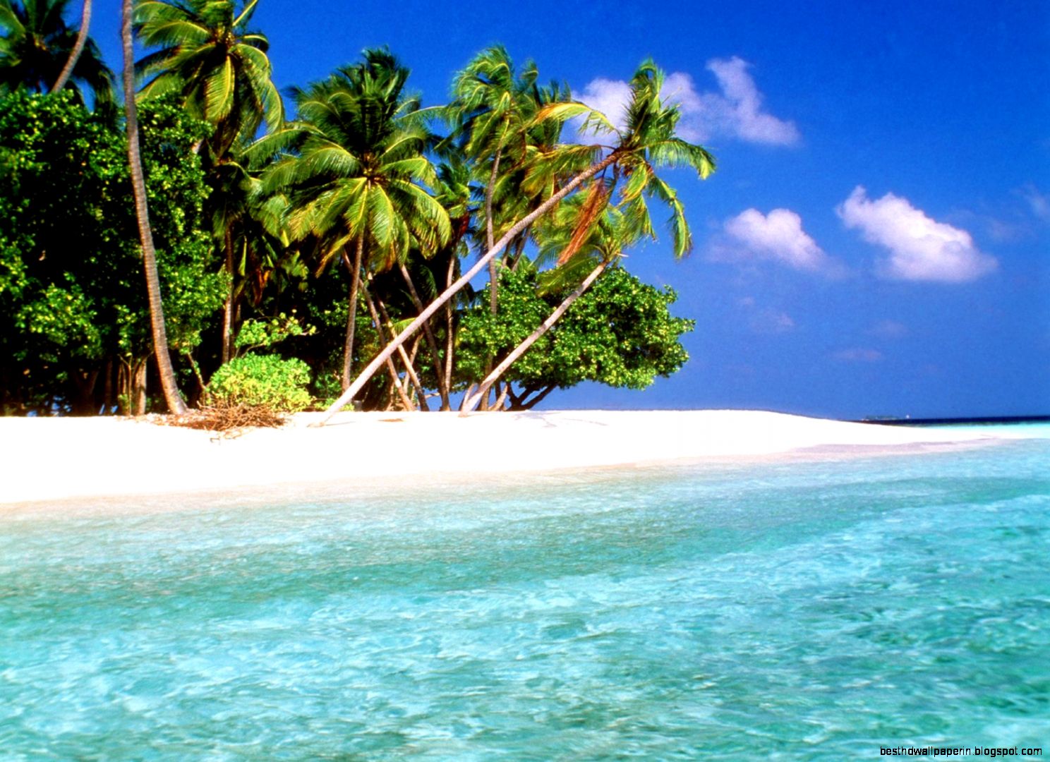 Tropical Island Beach Tropical Island Beach