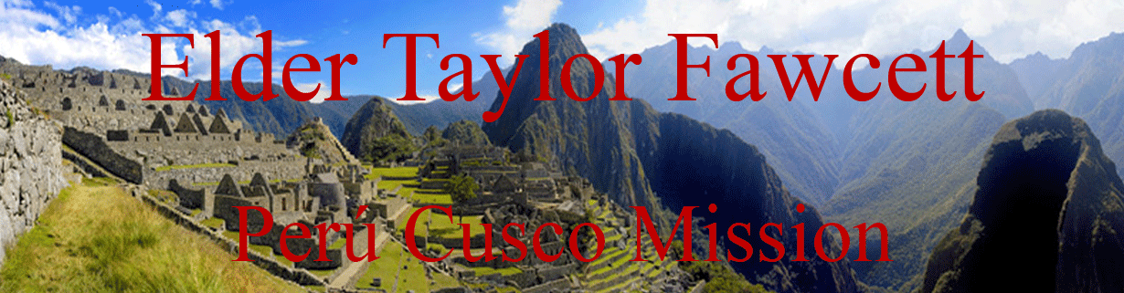 Elder Taylor Fawcett