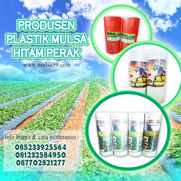 Jual Mulsa Plastik Hitam Perak Murah