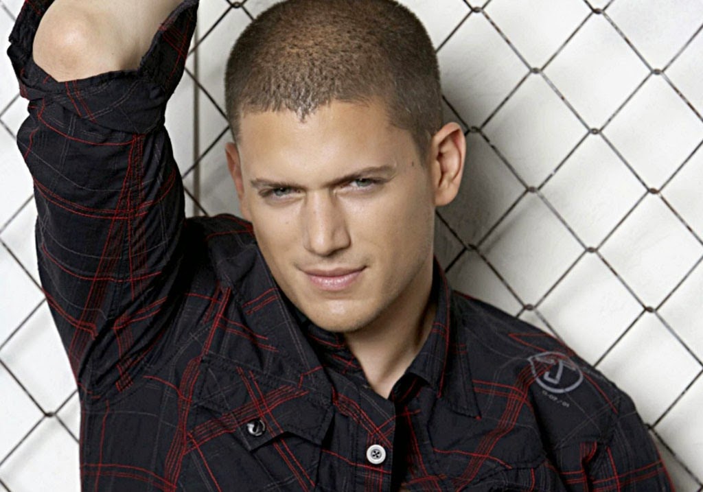 American Producer Wentworth Miller Pics