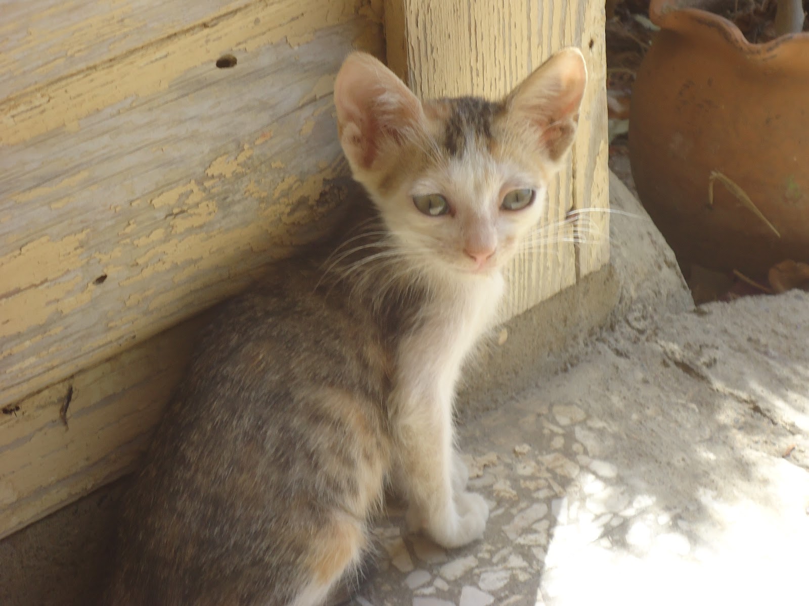 rencontres en vacances