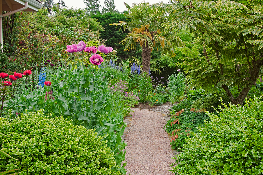 Linda Cochran's Garden: June 2012