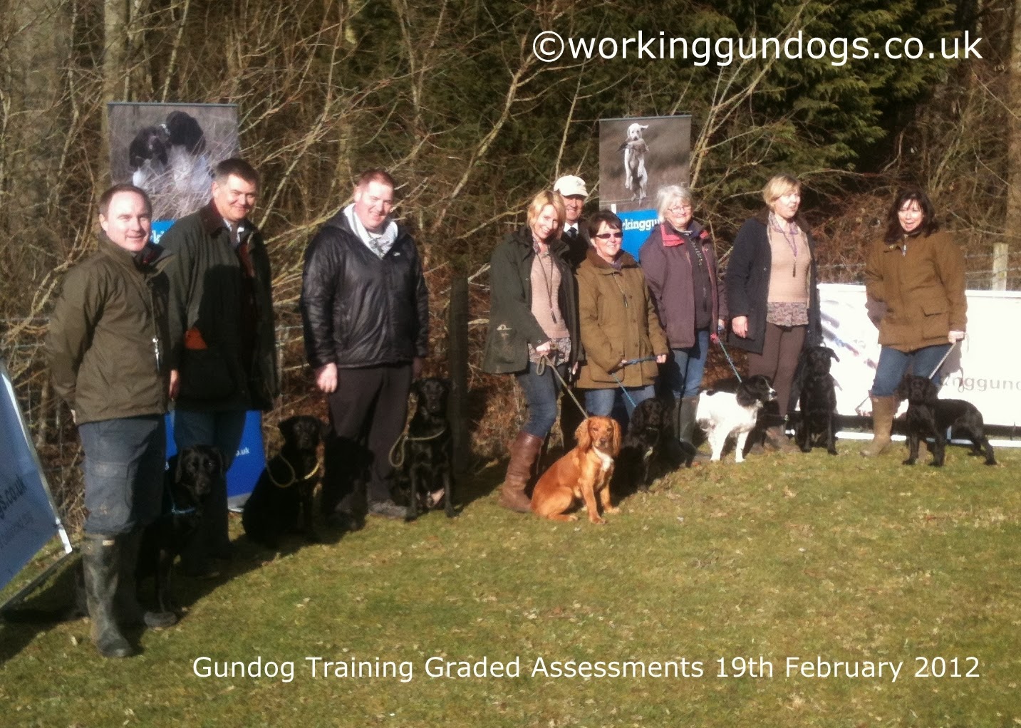 Working Gundogs Graded Group Gun Dog Training Northampton shire May 2014