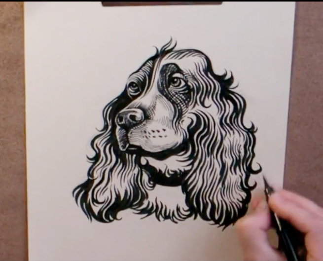 Pentel Pocket Brush Pen Drawing Videos
