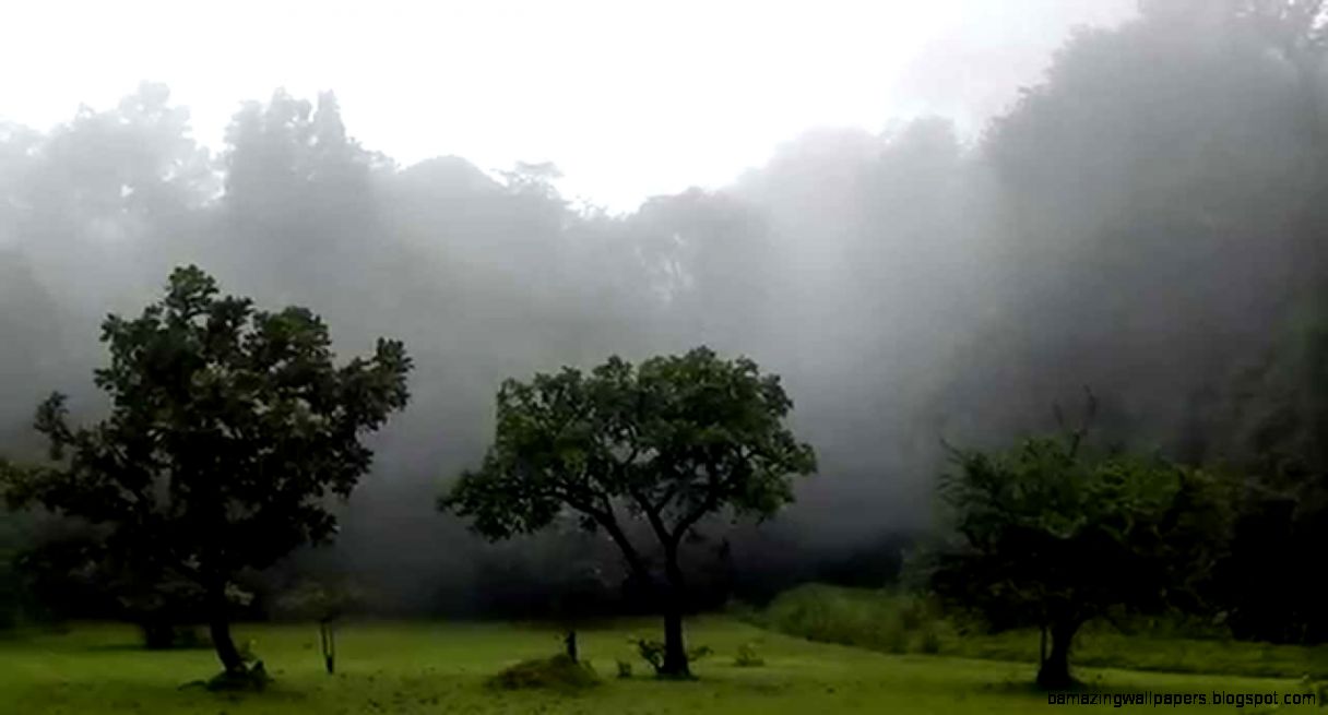 Agumbe Rainforest Research Station YouTube Agumbe Rainforest Research Station YouTube