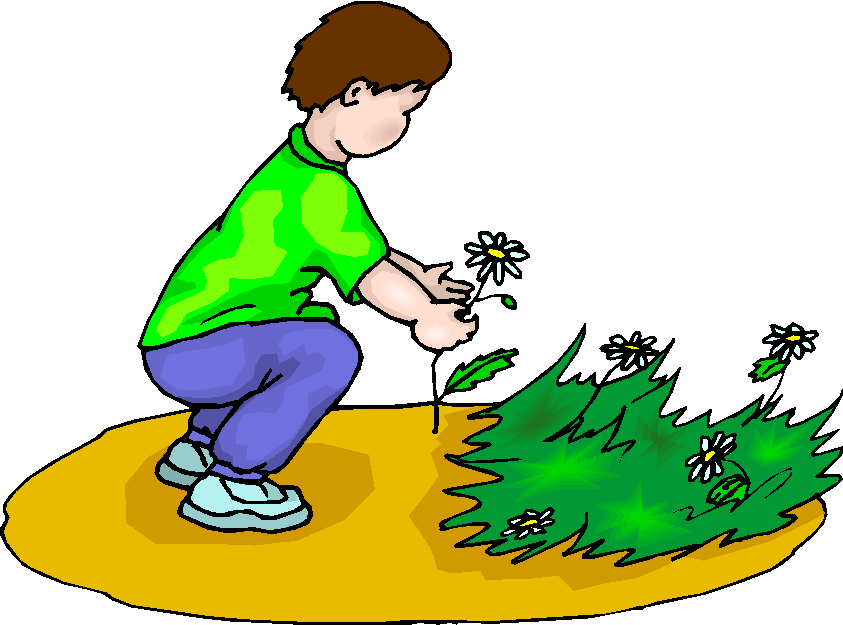 Boy Picking Flowers Free Clipart Free Microsoft Clipart