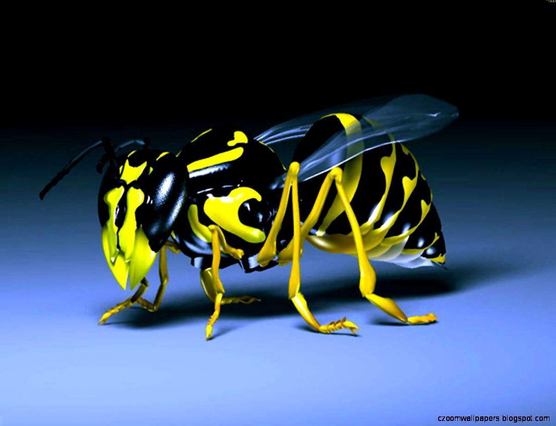 3D Bee Wallpaper hd wallpapers ›› Page 0 3D Bee Wallpaper hd wallpapers ›› Page 0