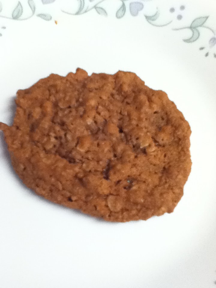Just Winging It Chocolate Pudding Oatmeal Cookies