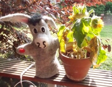 Von Lila Laune Bildern Und Frummer Fotos Fee Ist Mein Name