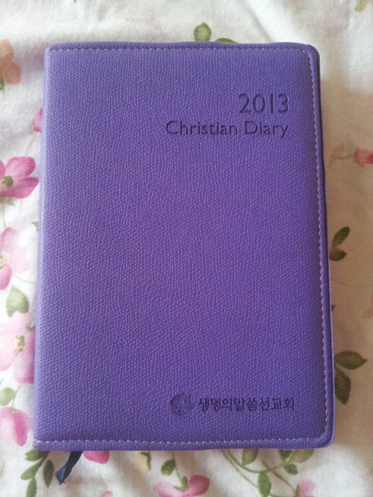 rainbyxoxo inside my christian diary