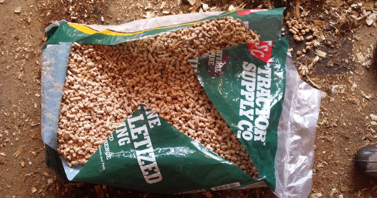 My Miniature Donkeys Update to the Bedding Debate