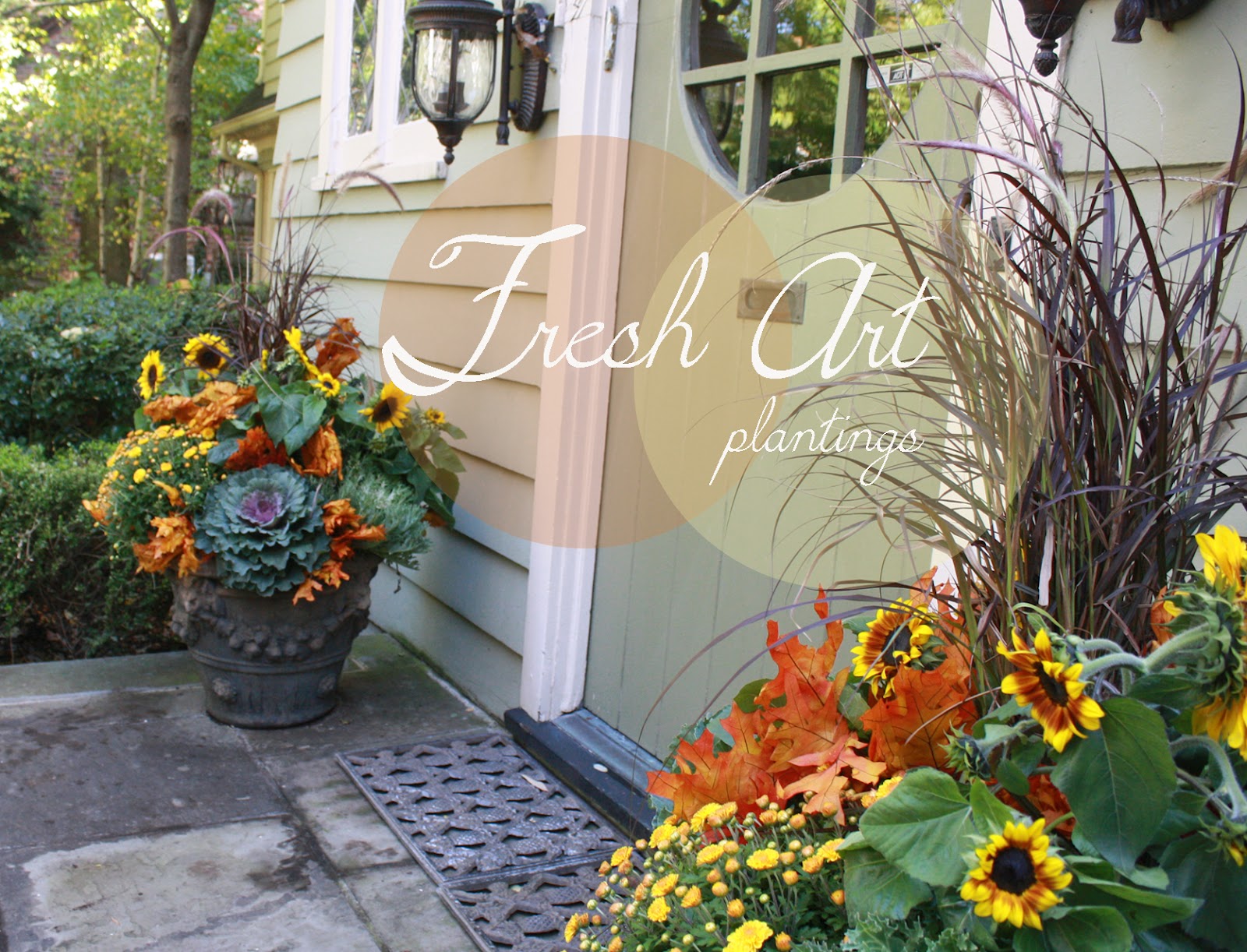 flores del sol fall container gardens in new jersey